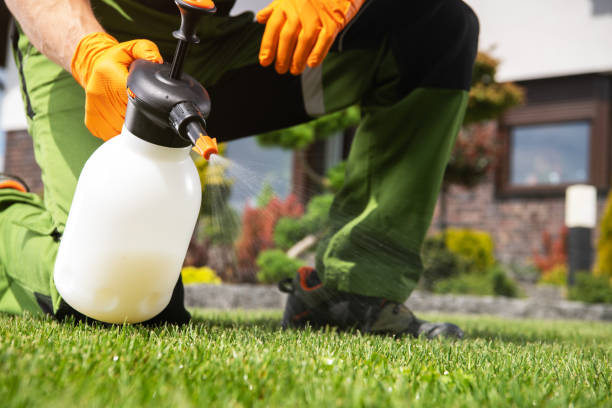 Best Commercial Pest Control Services  in Pima, AZ