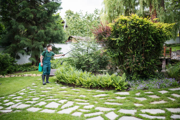 Best Residential Pest Control  in Pima, AZ