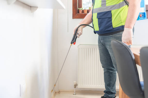 Best Affordable Pest Control Services  in Pima, AZ