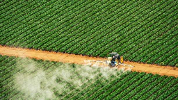 Best Commercial Pest Control Services  in Pima, AZ